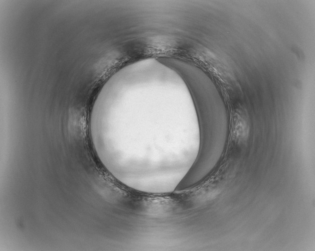 X0000115420716200912011326