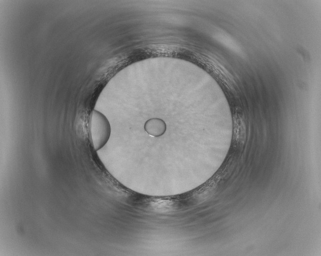 X0000115420718200912011326