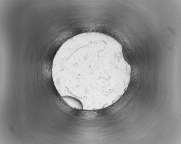 X0000115420719200912011326