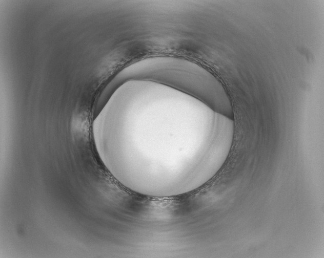 X0000115420720200912011326