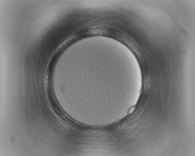 X0000115420722200912011326