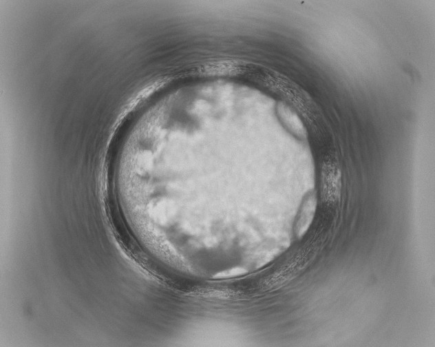 X0000115420726200912011326