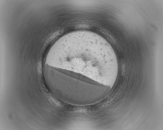 X0000115420729200912011326