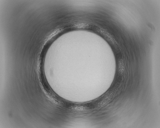 X0000115420730200912011326