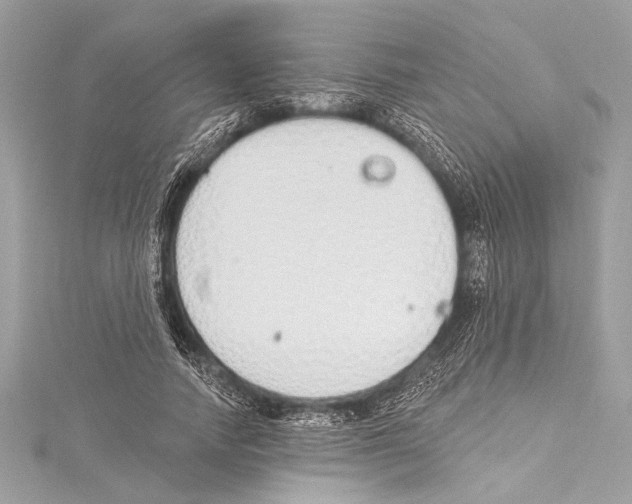 X0000115420738200912011326