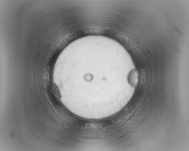 X0000115420739200912011326