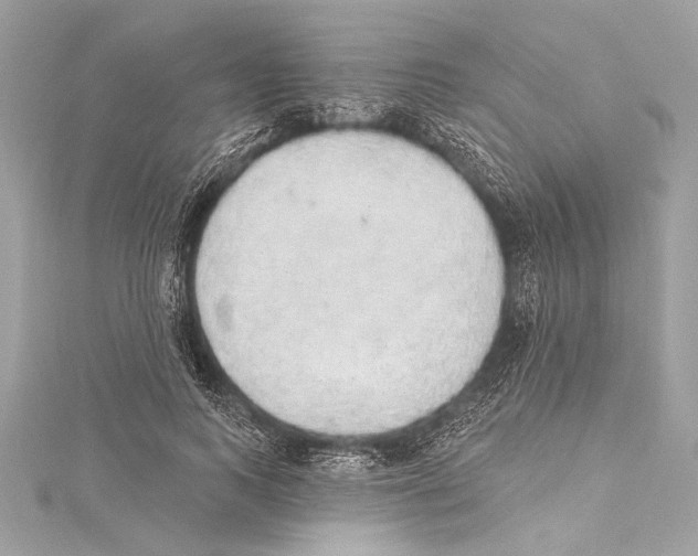 X0000115420743200912011326