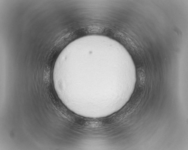 X0000115420745200912011326