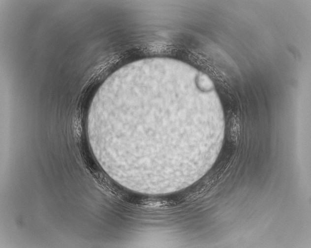 X0000115420746200912011326