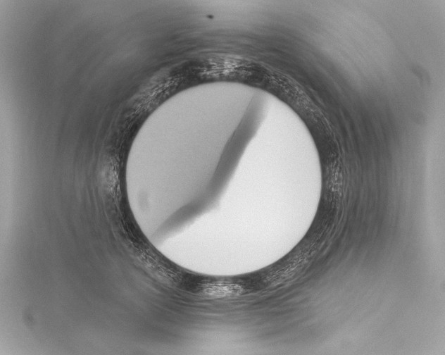 X0000115420754200912011326