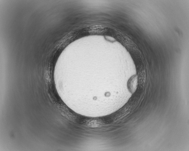 X0000115420755200912011326