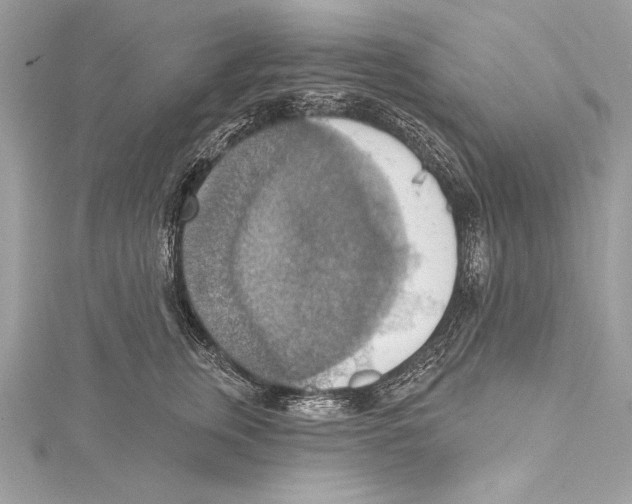 X0000115420759200912011326