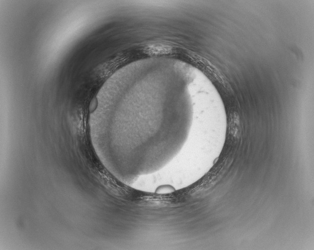 X0000115420763200912011326