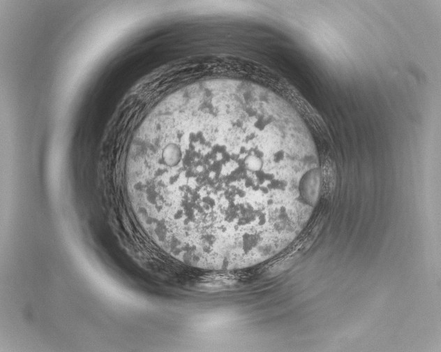 X0000115420765200912011326