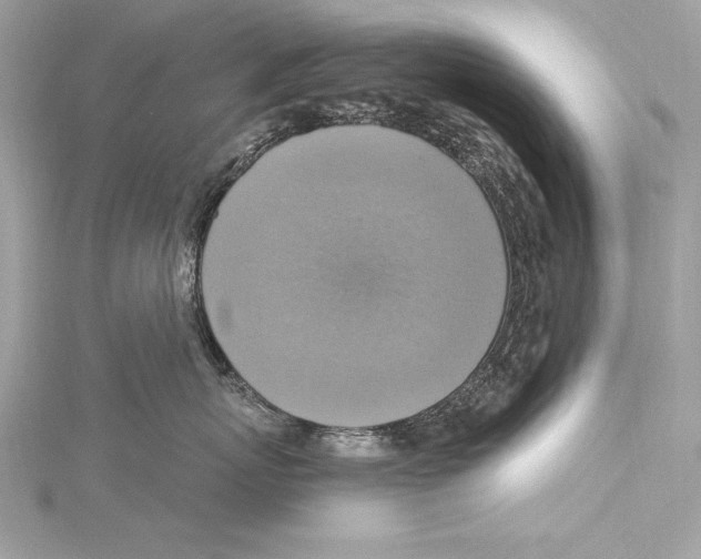 X0000115420767200912011326