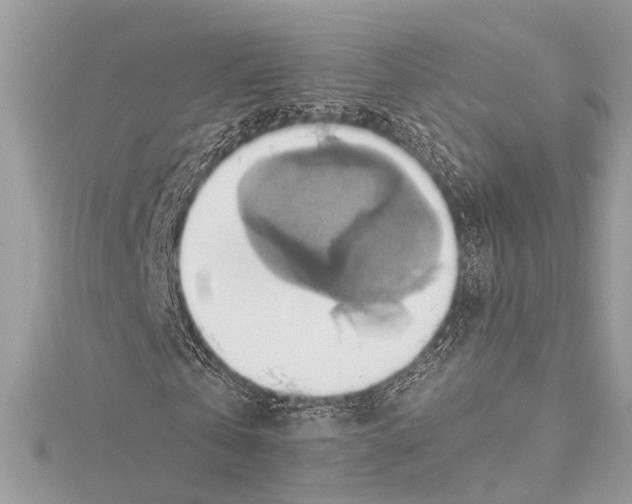 X0000115420769200912011326