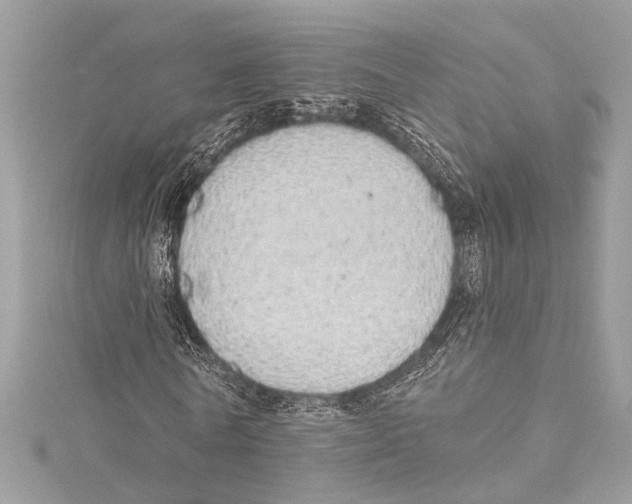 X0000115420770200912011326