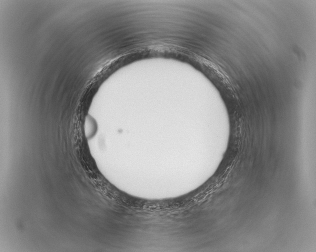 X0000115420776200912011326