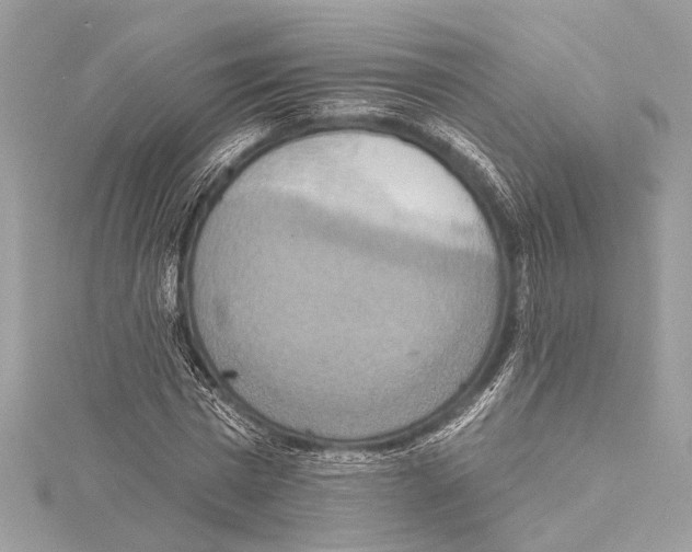 X0000115420777200912011326