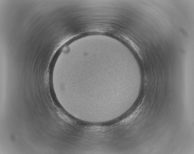 X0000115420779200912011326