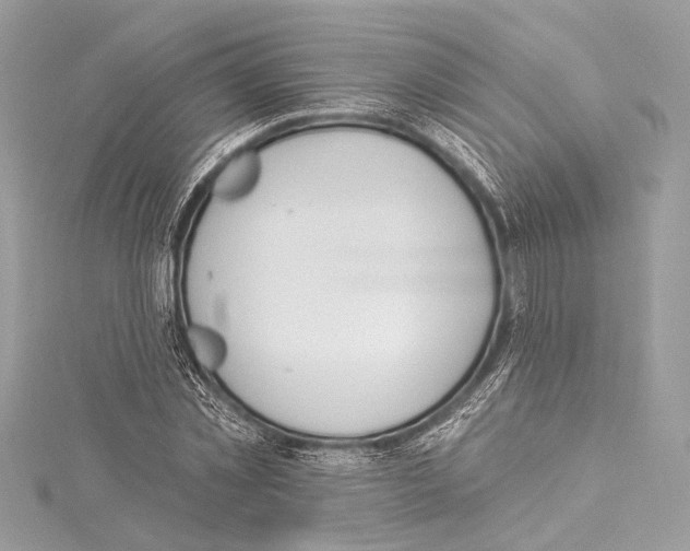 X0000115420781200912011326