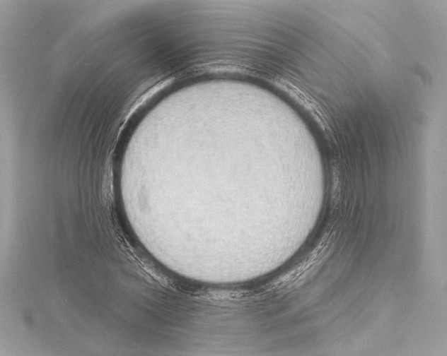 X0000115420782200912011326