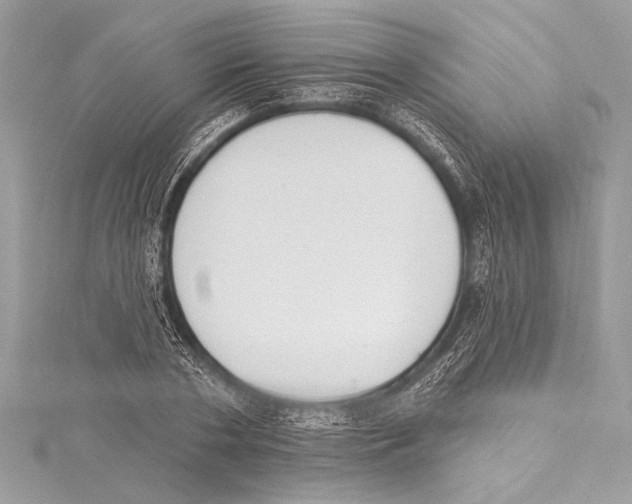 X0000115420786200912011326