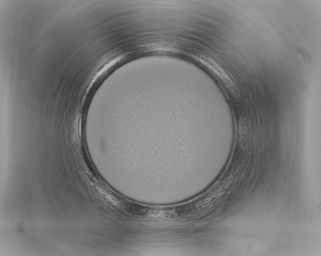 X0000115420790200912011325