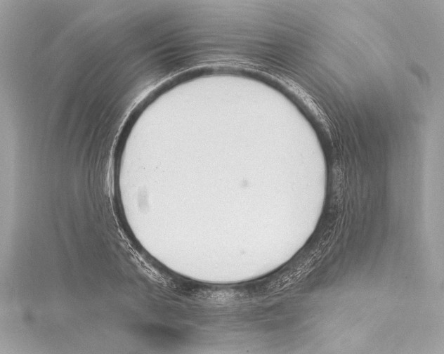 X0000115420791200912011325