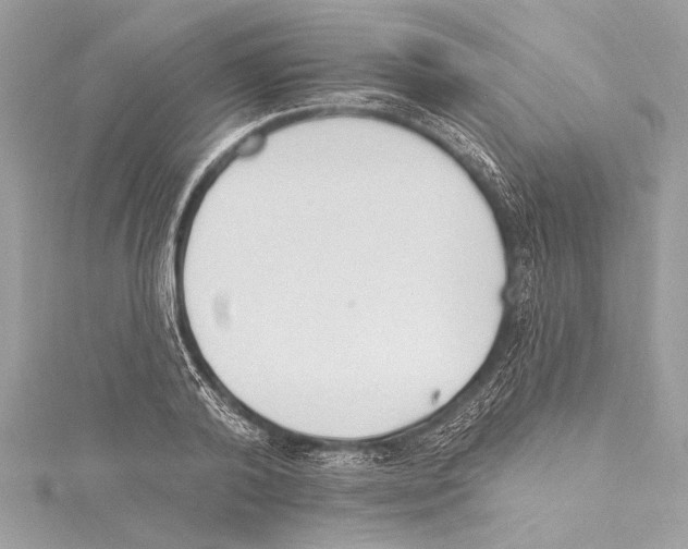 X0000115420792200912011325