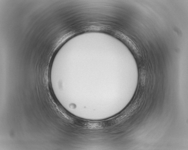 X0000115420794200912011325