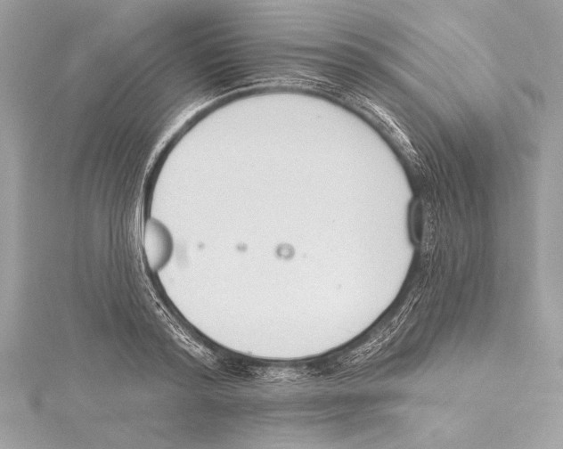 X0000115420796200912011325