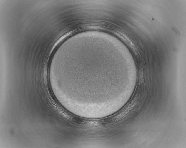 X0000115420798200912011325