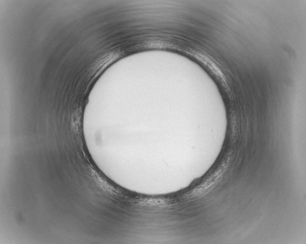 X0000115420801200912011325