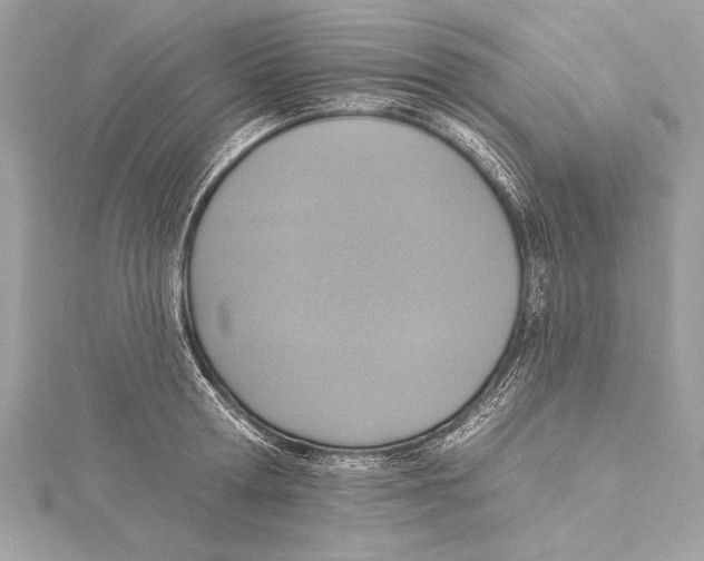 X0000115420802200912011325