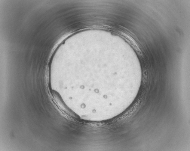 X0000115420804200912011325