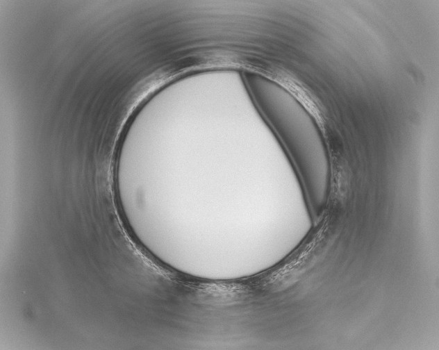 X0000115420805200912011325