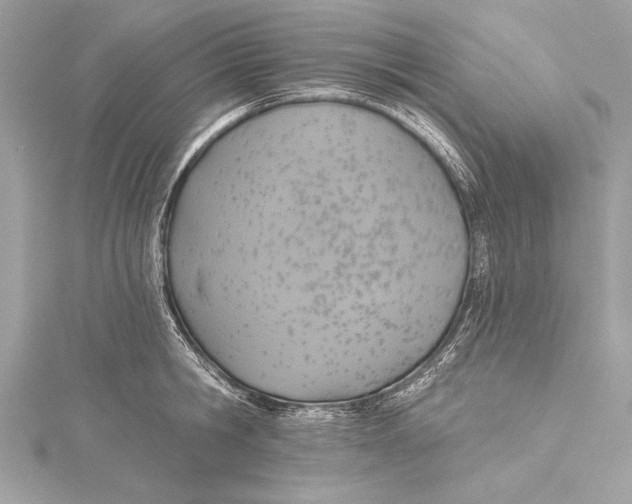 X0000115420806200912011325