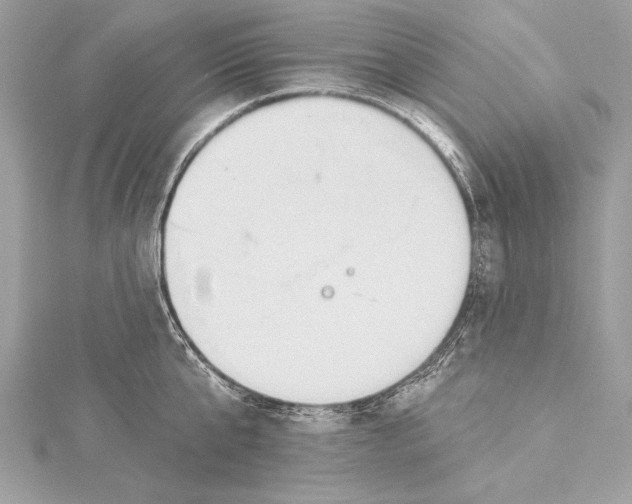 X0000115420807200912011325