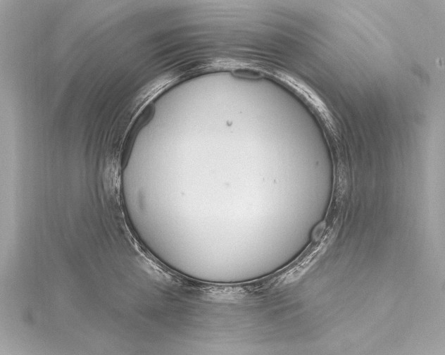 X0000115420809200912011325