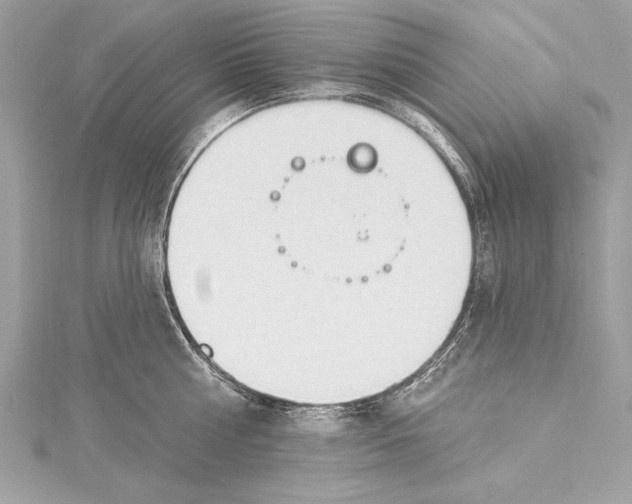 X0000115420810200912011325