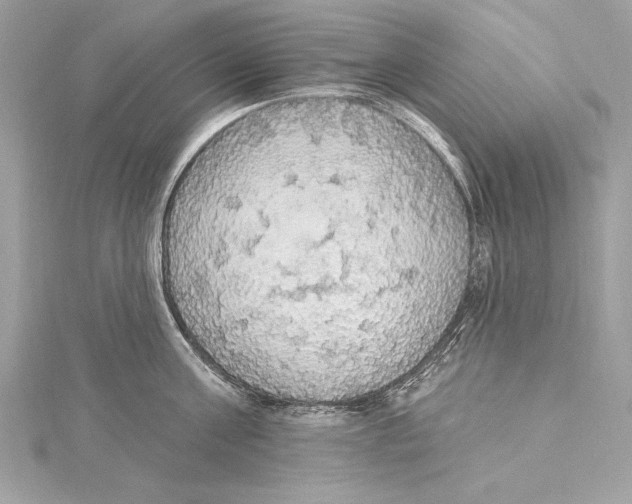 X0000115420811200912011325