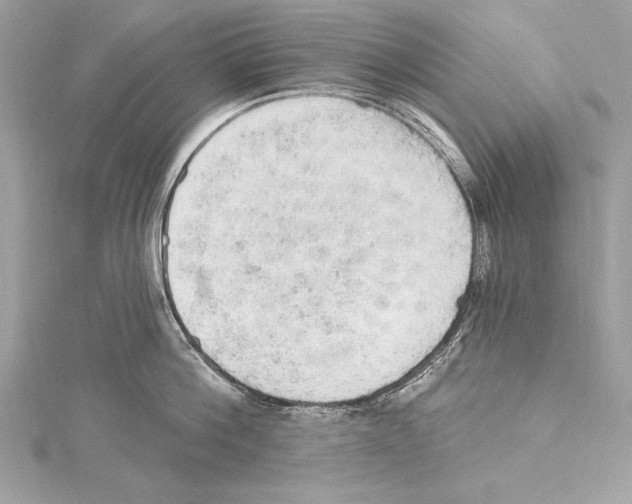 X0000115420812200912011325