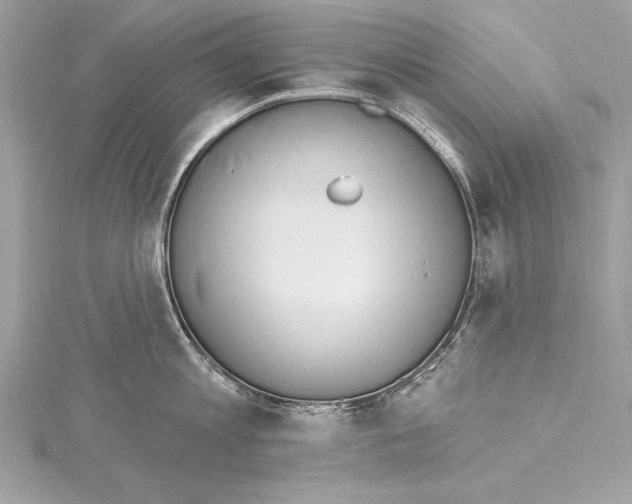 X0000115420813200912011325