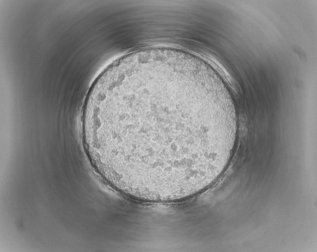 X0000115420814200912011325