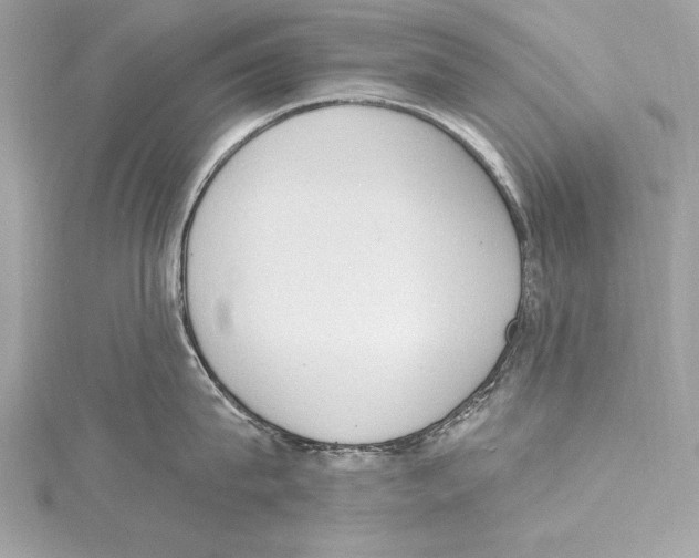 X0000115420815200912011325