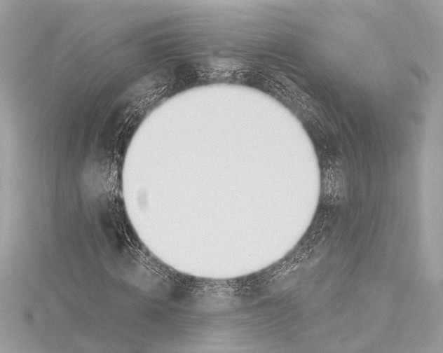 X0000115420820200912011325