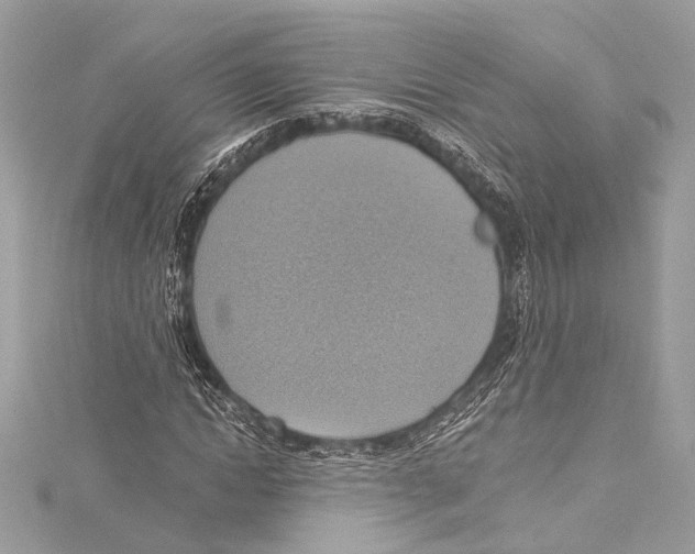 X0000115420822200912011325