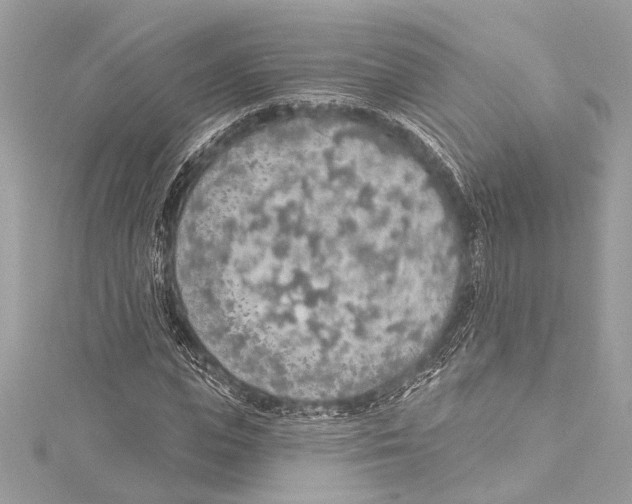 X0000115420823200912011325