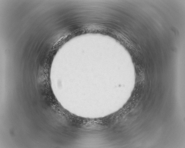 X0000115420824200912011325